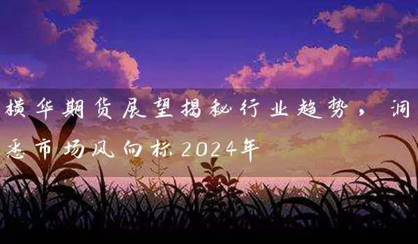 横华期货展望揭秘行业趋势，洞悉市场风向标2024年_https://www.cdffq.com_期货交易_第1张